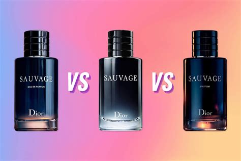 dior and christian dior difference